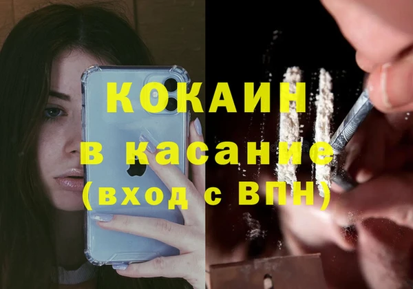 прущие грибы Абдулино