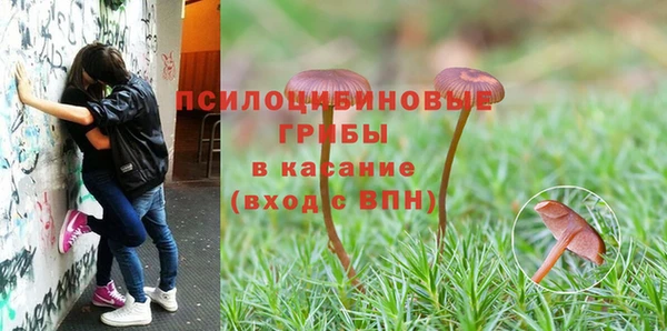 не бодяженный Абаза