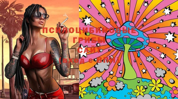 прущие грибы Абдулино