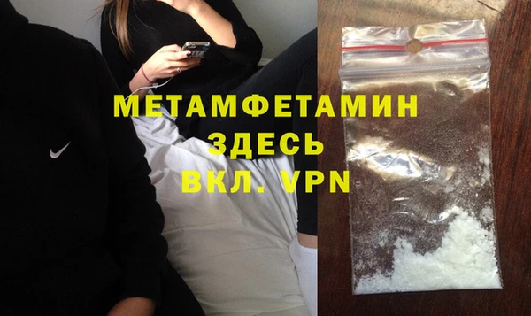 индика Няндома